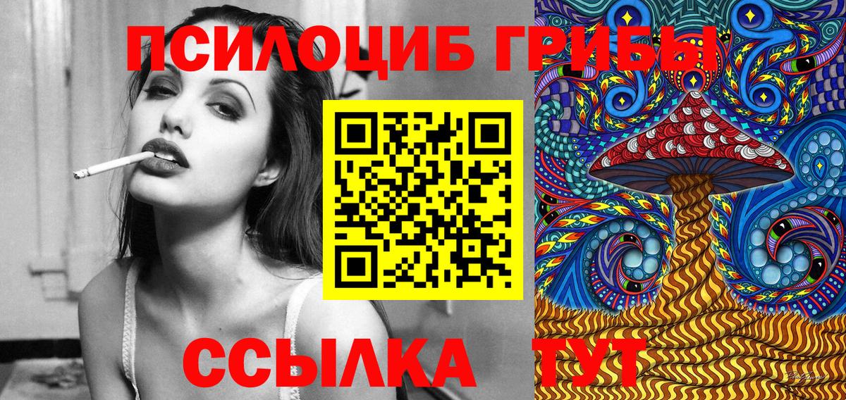 дарнет шоп  Вход с VPN  Арсеньев  Галлюциногенные грибы мухоморы 