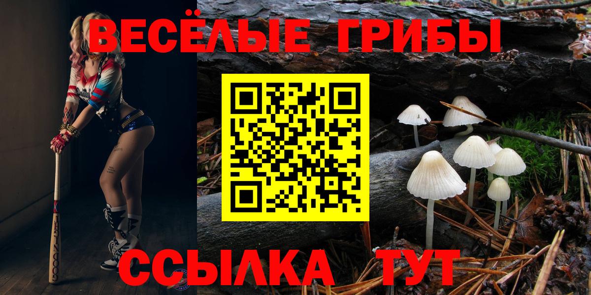 Галлюциногенные грибы прущие грибы Арсеньев